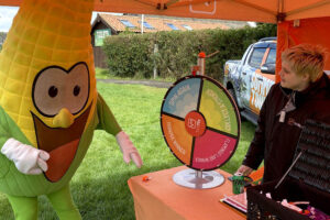 York Maze – Summer Tour gallery