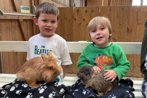 Beetle Bank Farm summer tour – cute and cuddly picture gallery