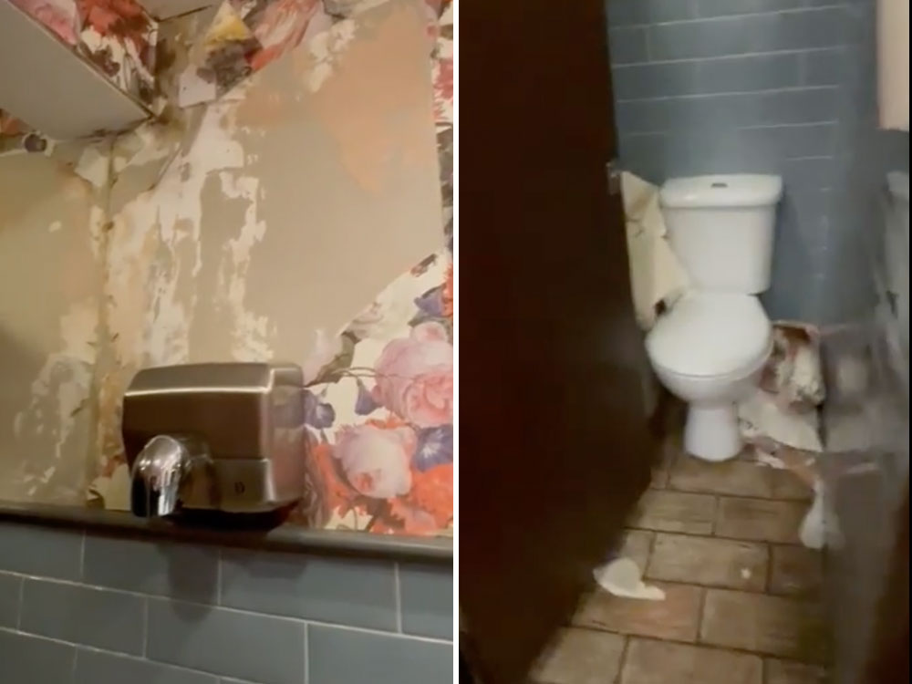 Video: Shock as ‘frenzied’ vandal tears down the wallpaper from York pub loos