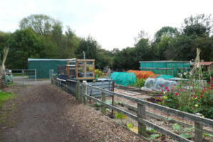 Shed destroyed in arson attack at York allotments