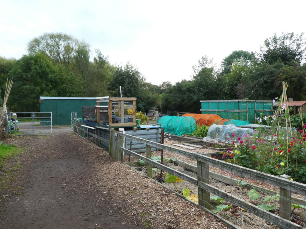 Shed destroyed in arson attack at York allotments