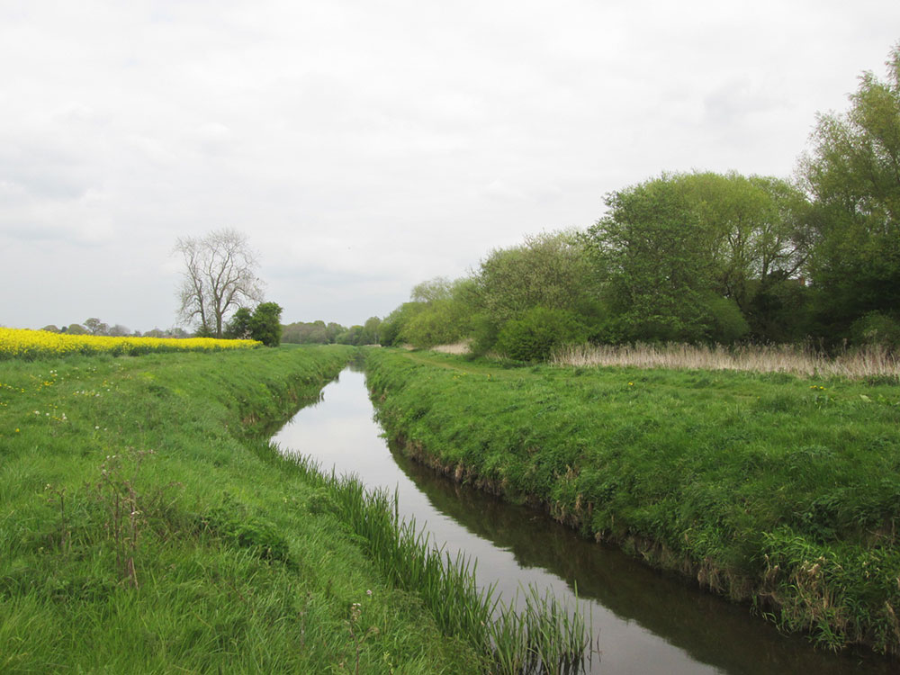Updated: Two flood alerts for York and North Yorkshire