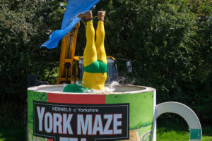 Watch: Yorkshire Man dives into giant mug of tea at York Maze