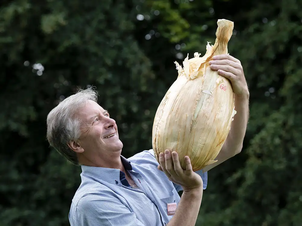 Look at the size of it! World record breaking giant onion on display in Harrogate