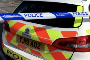 Man stabbed and strangled his mother to death in their hallway, court hears