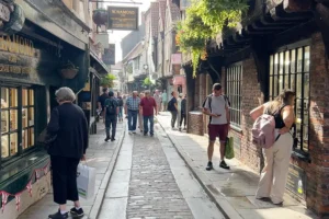‘The street will lose cobbles, traders will lose £250K. It’s a shambles on Shambles’