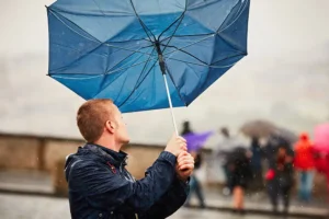 York and North Yorkshire to be battered by wind and rain, say weather warnings