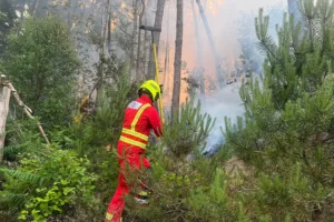 York must prepare for wildfires ‘in the next ten years’