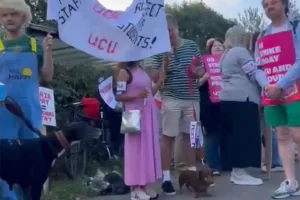 MP joins picket line as strike closes York College