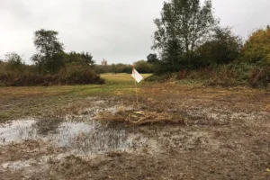 York nature reserve hit by raw sewage leak