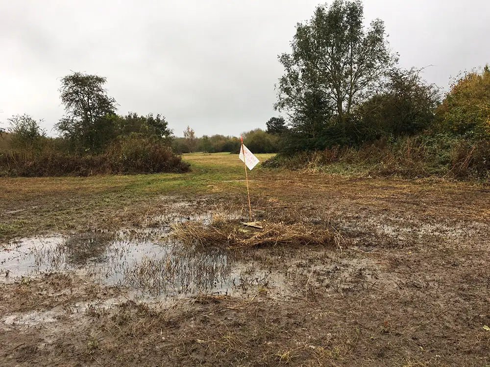 York nature reserve hit by raw sewage leak
