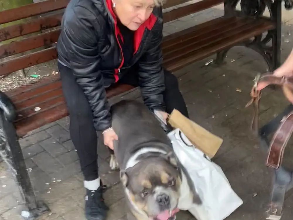 Dangerous dog attack in Harrogate leaves man in hospital