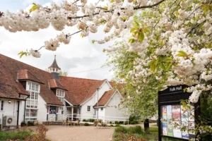 York to get a new digital café