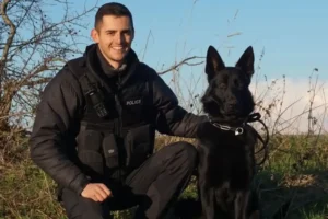 Watch: Police dog Rhun tracks down runaway driver