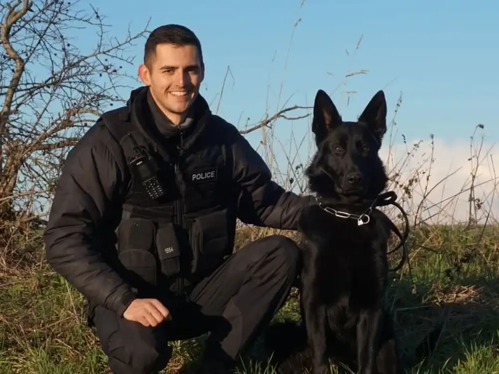 Watch: Police dog Rhun tracks down runaway driver