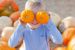 Where to pick your own pumpkins in York and North Yorkshire 2024