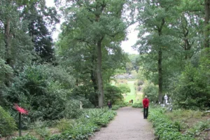 North Yorkshire gardens to close and event cancelled due to Storm Babet