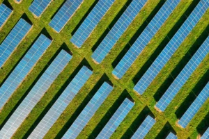 ‘Bonkers’ solar farm rejected amid food security concerns