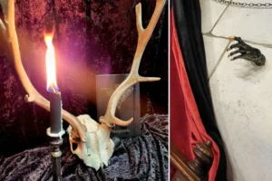 Transylvania House opens in York, complete with coffin! But would you dare go?