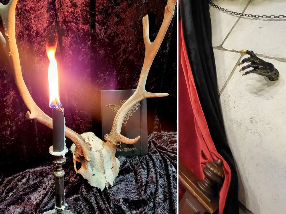 Transylvania House opens in York, complete with coffin! But would you dare go?