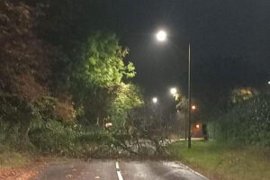 Updated – Storm Babet: Road reopens after tree fall