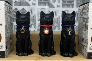 Quirky York shop celebrates a ‘whirlwind’ opening