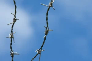 Person trapped in barbed wire in Harrogate