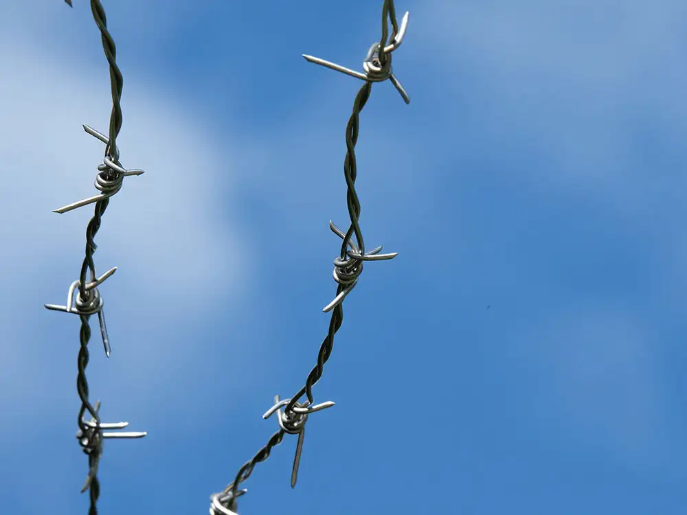 Person trapped in barbed wire in Harrogate