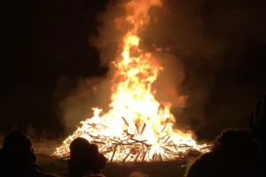 Firefighters called in after bonfire gets out of control in York garden