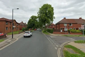 Police investigating dog fight in York