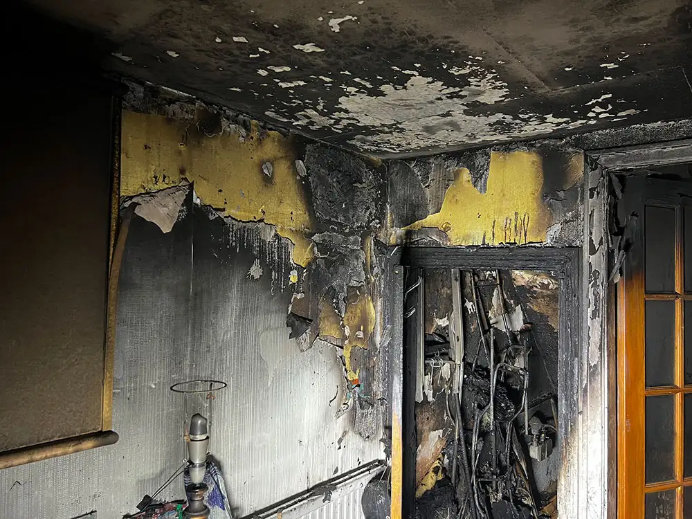 Woman saved from Harrogate house fire thanks to dogs