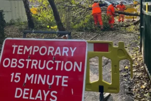 Watch: cycle path blocked as tree felled onto it