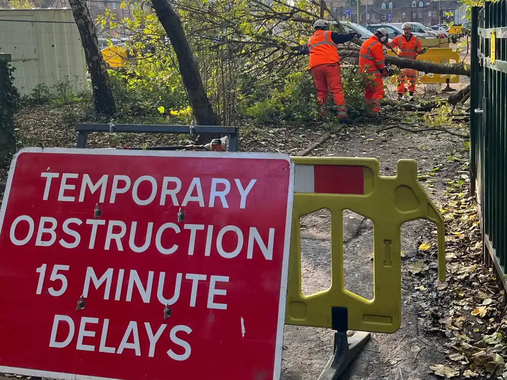 Watch: cycle path blocked as tree felled onto it