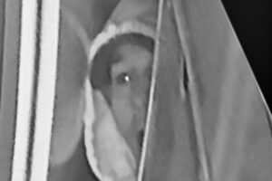 Image released after theft at North Yorkshire services