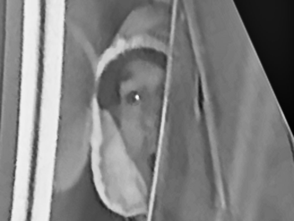 Image released after theft at North Yorkshire services