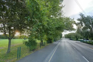 Fire crew called out after two youths get stuck up a tree