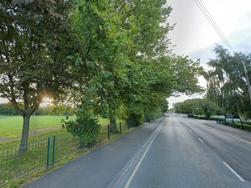 Fire crew called out after two youths get stuck up a tree