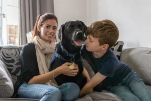 Support dog Elvis saves the life of autistic York boy Eli, 7