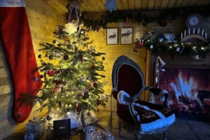 Strong winds force Christmas attraction near York to close