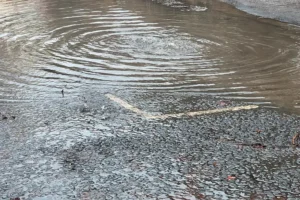 Villagers given bottled water after supply problems due to mains burst