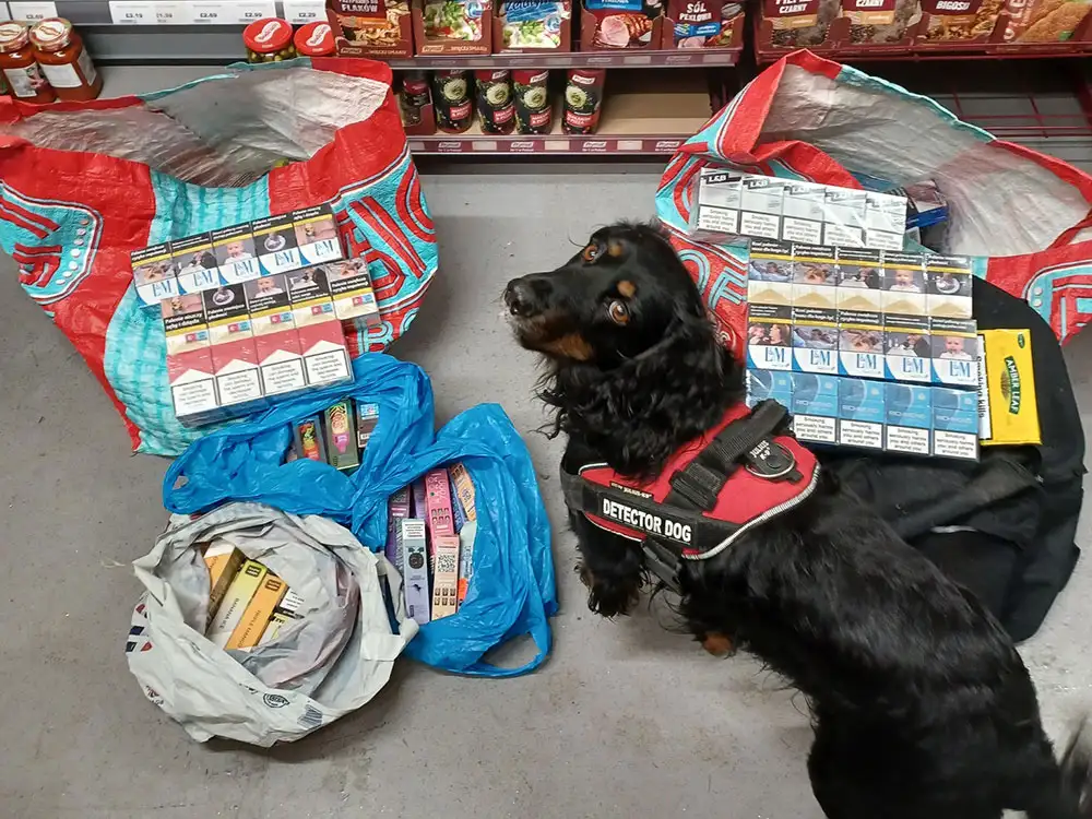 Police tracker dog sent in to York shop after tip-off about illegal sales