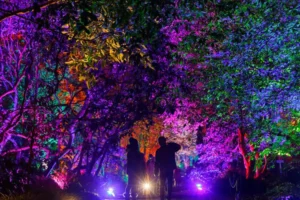 Popular North Yorkshire Christmas event cancelled due to bad weather