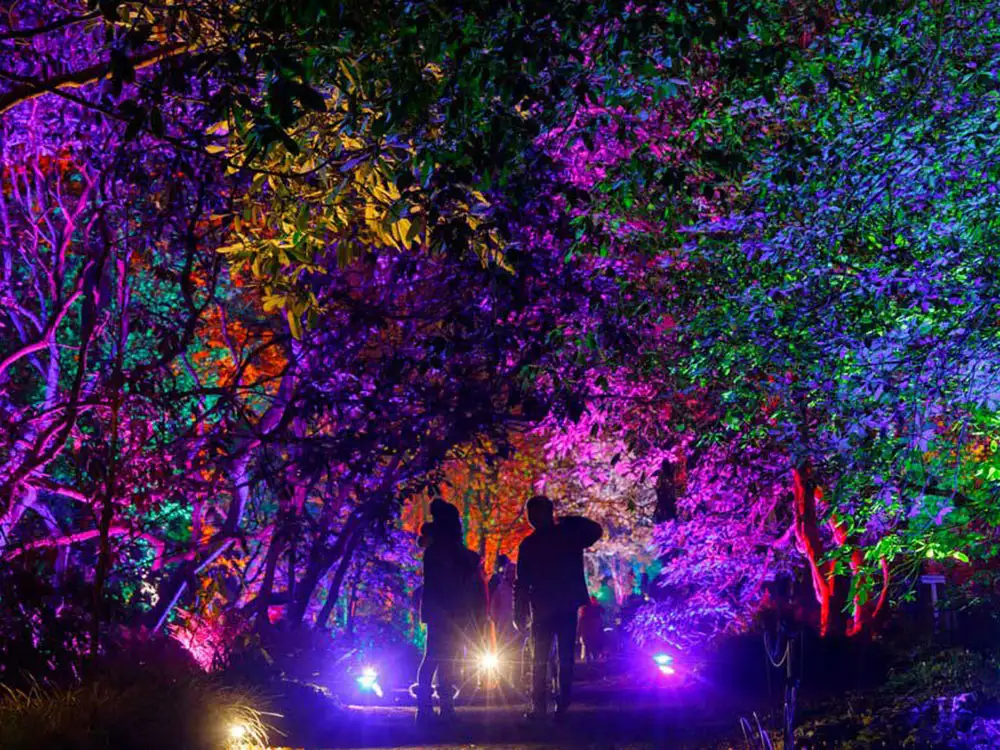 Popular North Yorkshire Christmas event cancelled due to bad weather