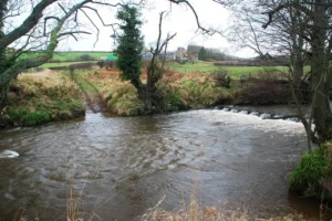 Off-road drivers were swept away by river, says man who tried to save them