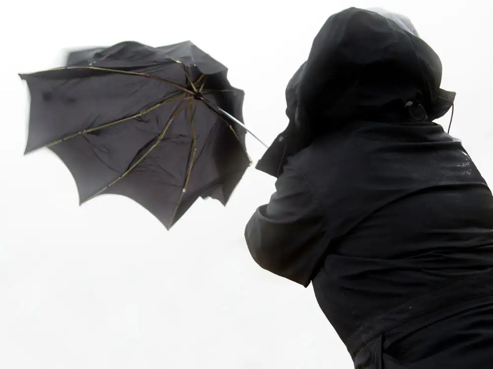 Two York attractions closed by ‘unprecedented’ Christmas weather