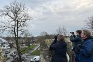 ‘Stunning’ sight draws gathering of birders to York city walls