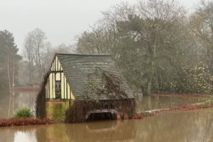 York floods: 50+ pictures as the River Ouse peaks