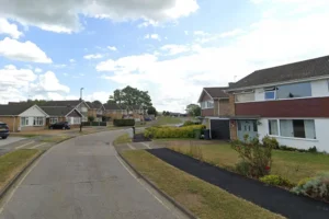 Firefighters rescue cat trapped for days due to York house renovation