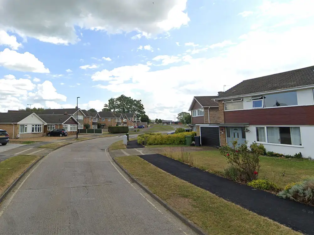 Firefighters rescue cat trapped for days due to York house renovation