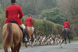 Police investigate incident involving local hunt in Ryedale